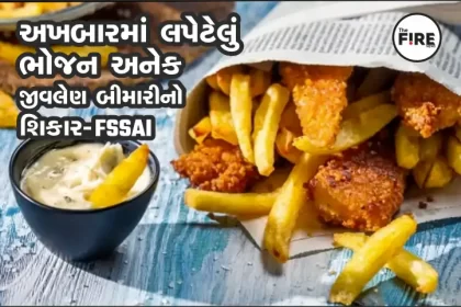 અખબારમાં લપેટેલું ભોજન